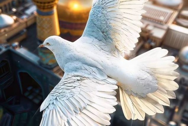 تور مشهد 4 روزه